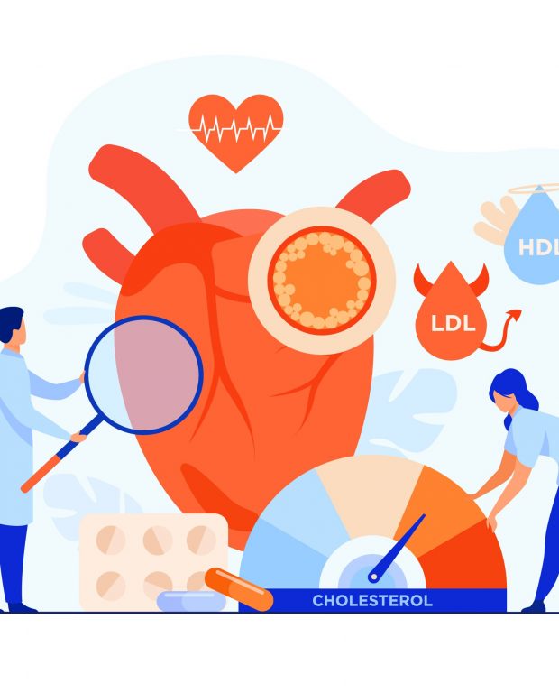 Colesterolo HDL LDL
